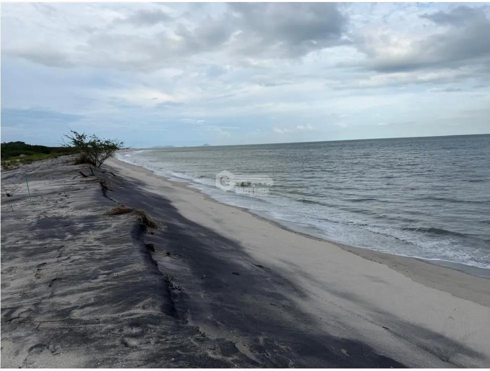 BEACHFRONT LOT FOR SALE IN GORGONA MALIBU BEACH 1200 M