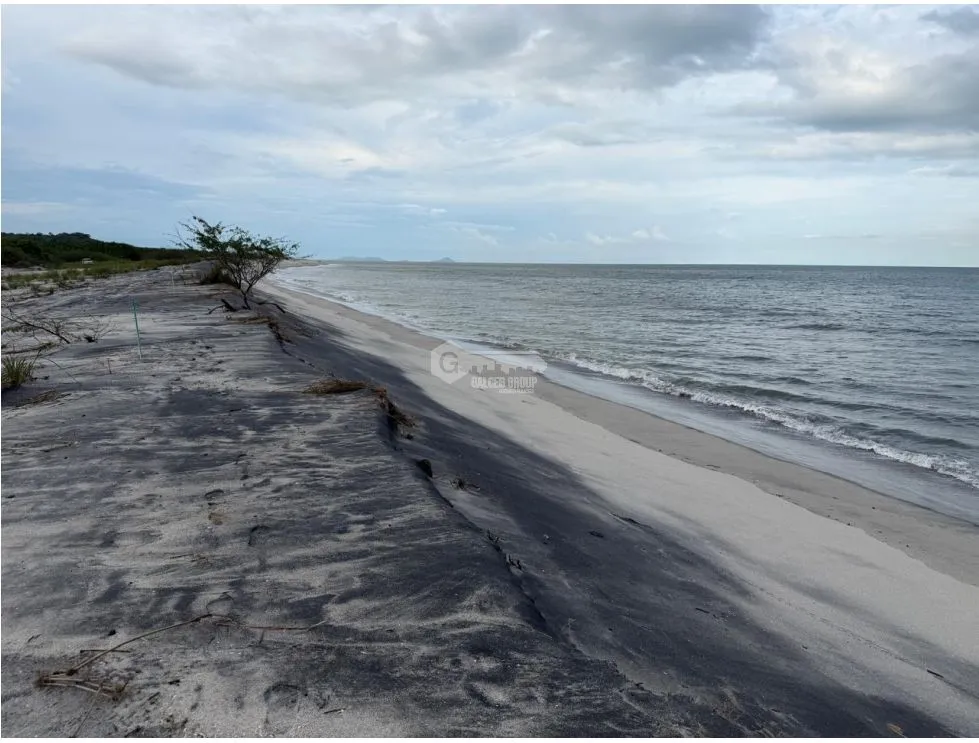 BEACHFRONT LOT FOR SALE IN GORGONA MALIBU BEACH 1200 M