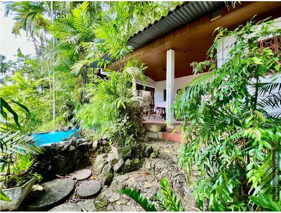 House for Sale in Hato Pintado