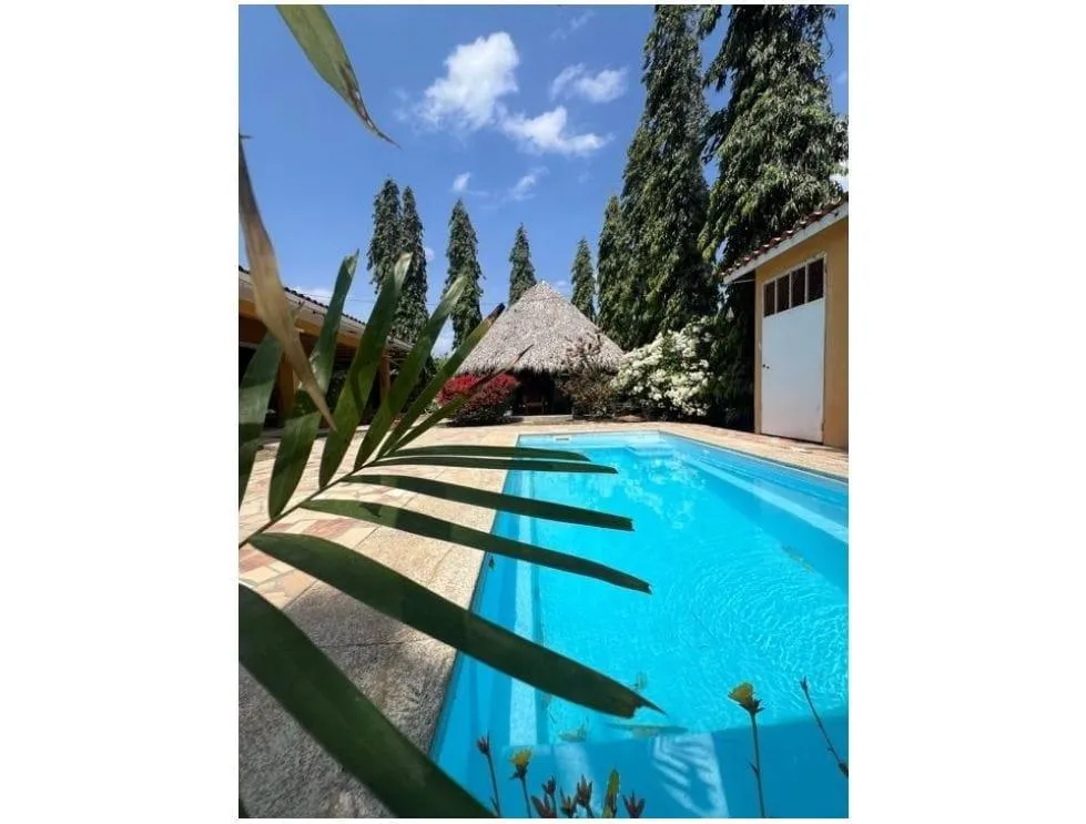 Beautiful tropical house