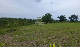 COCLE / RIO HATO / LAS LOMAS / 3.29 HECTAREAS / AMPLIO TERRENO