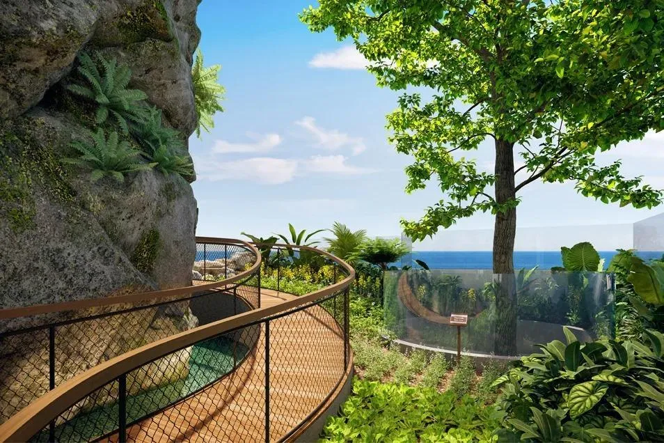 Apartamento Tipo Loft en PH Dovle Selva – Coco del Mar  Con Licencia Turística