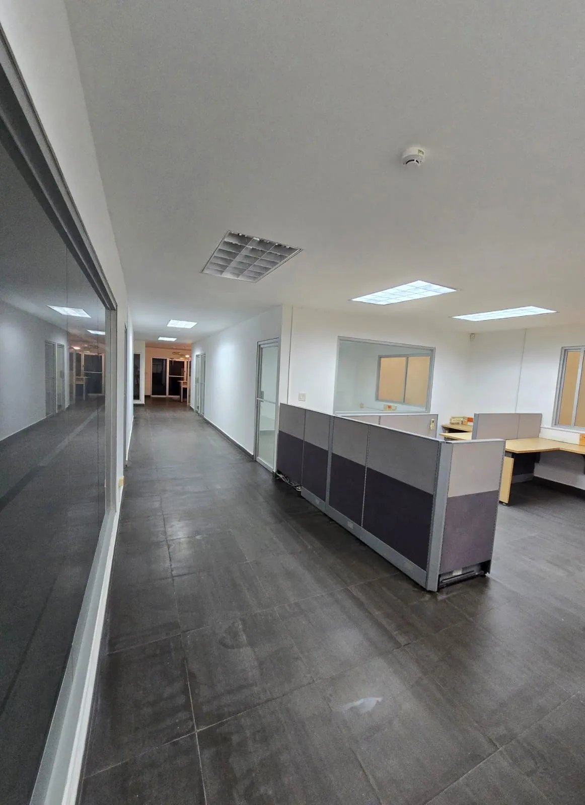 Industrial Warehouse for Sale – Transístmica Logistics Center, Milla 8