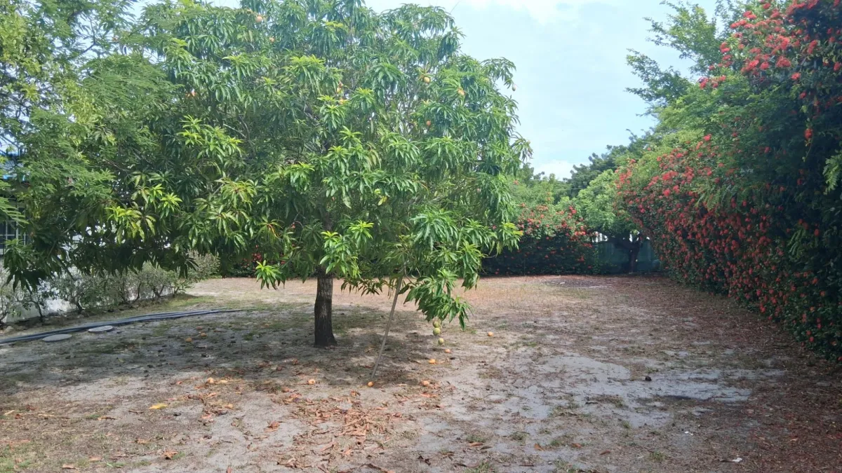 Casa de Playa