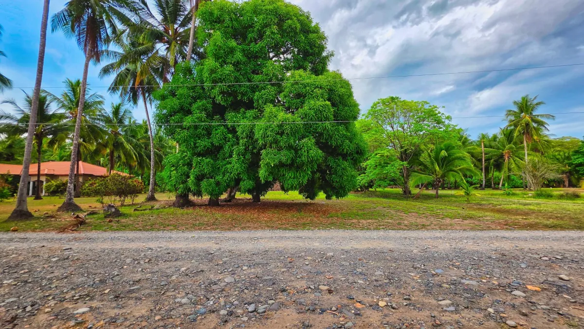 Terreno en venta cerca del mar en Playa Las Lajas