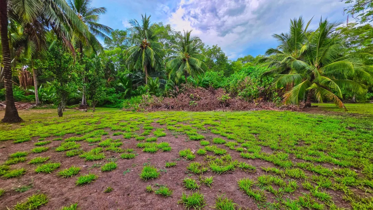 Terreno en venta cerca del mar en Playa Las Lajas