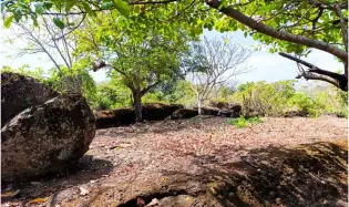 Land for Sale in Nueva Gorgona, Chame, Chame