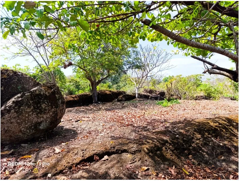 Land for Sale in Nueva Gorgona, Chame