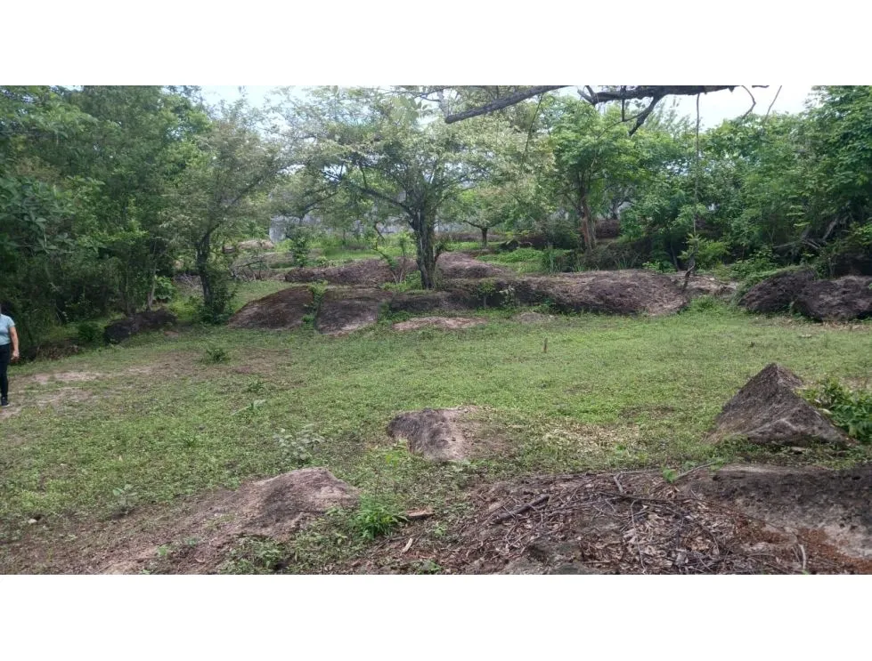 Land for Sale in Nueva Gorgona, Chame