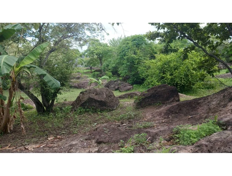 Land for Sale in Nueva Gorgona, Chame
