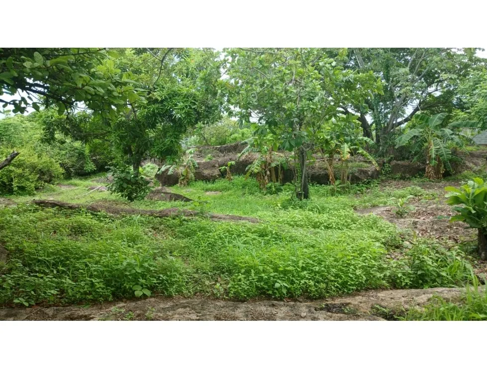 Land for Sale in Nueva Gorgona, Chame