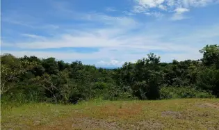 LAND FOR SALE 4,300 M2 IN SAN CARLOS EL COPECITO WITH GREEN AREAS