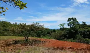 建筑很多 在 San Carlos 出售