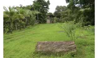 Terre / Ferme à Sabanitas à vendre