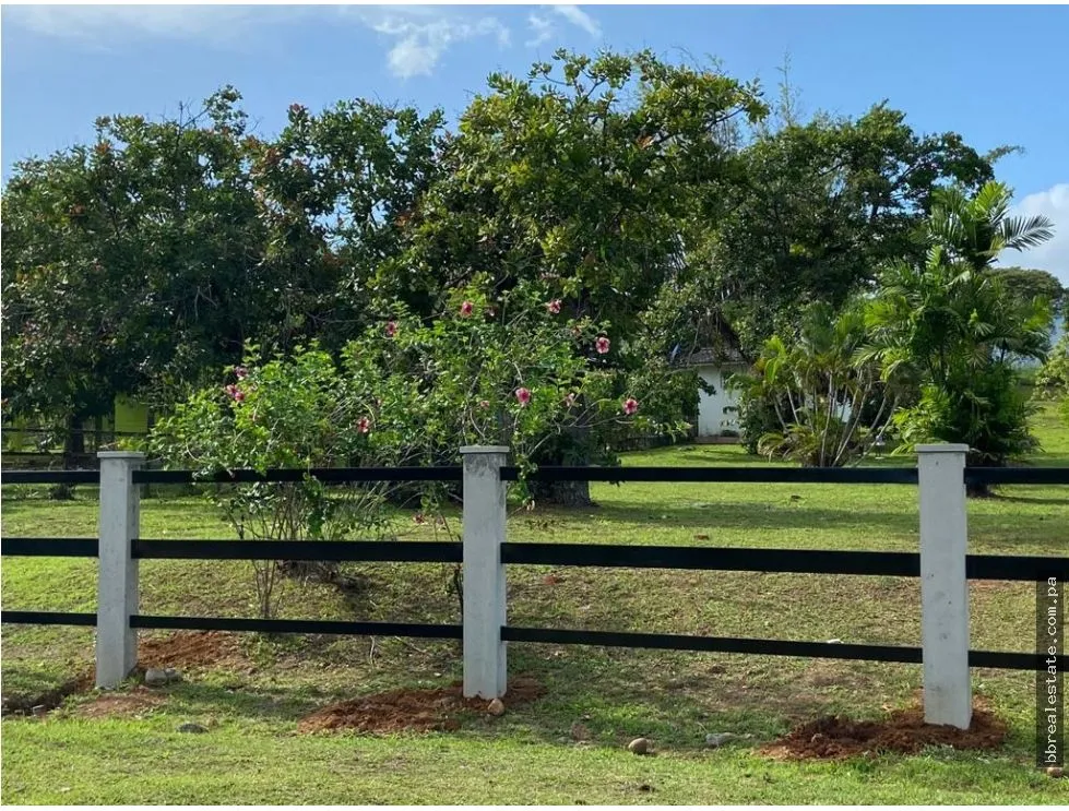 LAND SALE WITH CABIN IN LOS NANCES DE PRADERA DE UTIVE