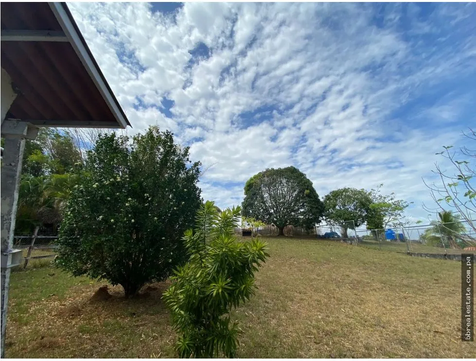 LAND SALE WITH CABIN IN LOS NANCES DE PRADERA DE UTIVE