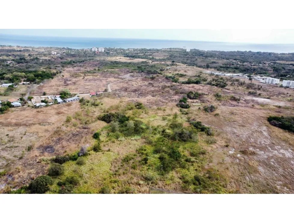 SPACIOUS LAND FOR SALE IN PUNTA BARCO - 6 HECTARES WITH GREEN AREAS