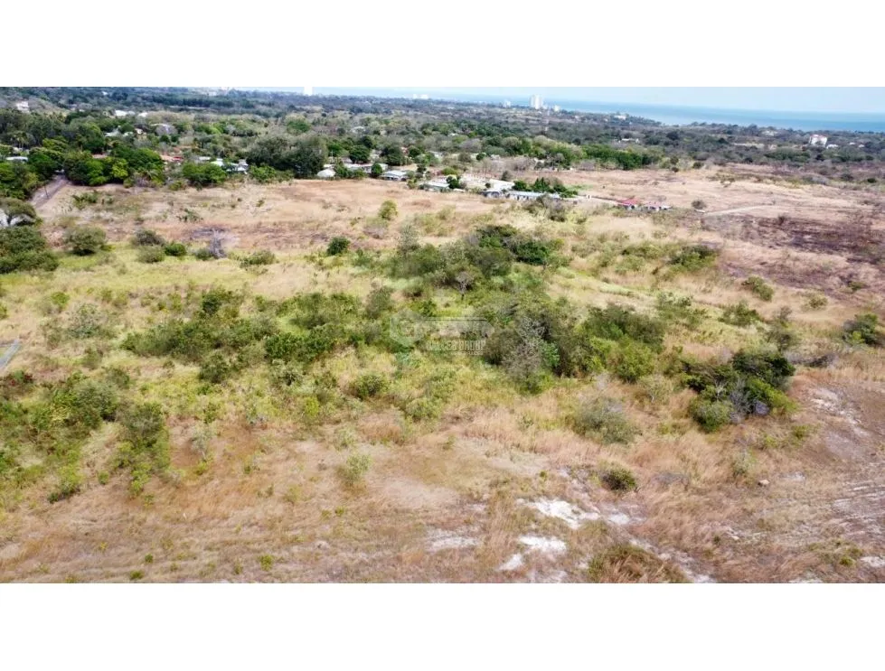SPACIOUS LAND FOR SALE IN PUNTA BARCO - 6 HECTARES WITH GREEN AREAS