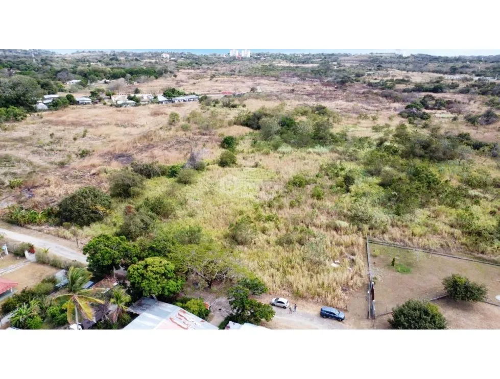 SPACIOUS LAND FOR SALE IN PUNTA BARCO - 6 HECTARES WITH GREEN AREAS