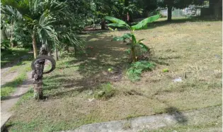 SPACIOUS 800 M2 LAND FOR SALE IN CHAME LAS LAJAS ON PAVED ROAD
