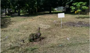 CHAME / LAS LAJAS / 800 M2 / SPACIOUS LAND / ON PAVED ROAD