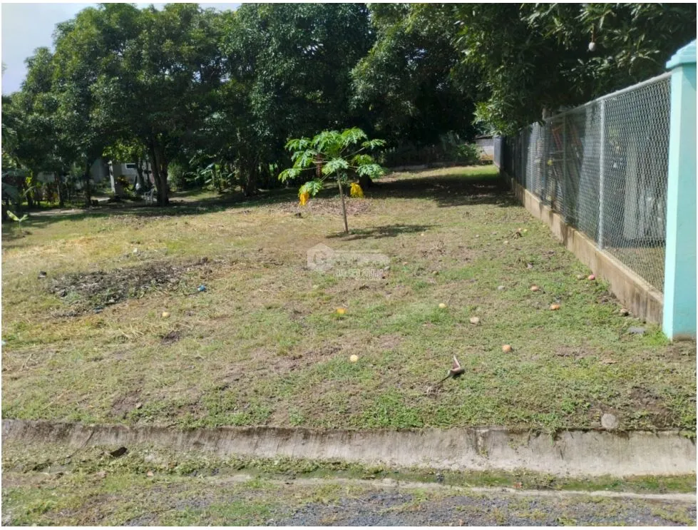 CHAME / LAS LAJAS / 800 M2 / SPACIOUS LAND / ON PAVED ROAD