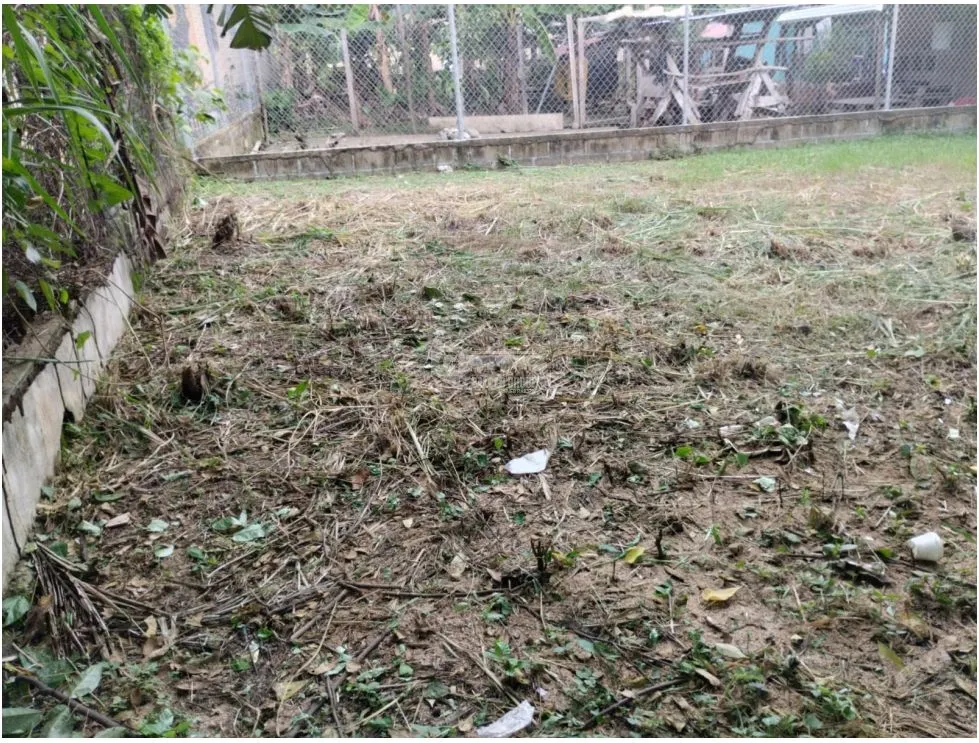 CHAME / LAS LAJAS / 800 M2 / SPACIOUS LAND / ON PAVED ROAD