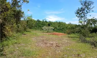 SAN CARLOS / EL COPECITO / 4300 M2 / TERRENO / VISTAS PANORAMICAS