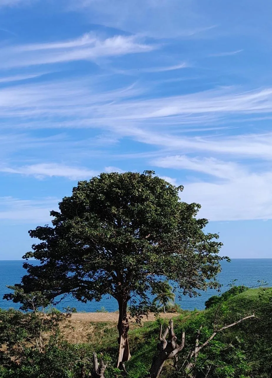 Rancho Privado Frente al Mar | Playa Lagomar, San Carlos