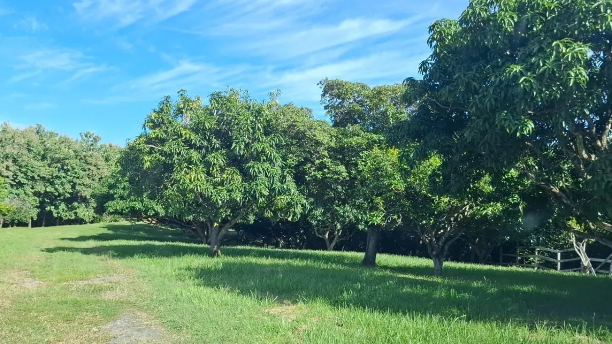 Rancho Privado Frente al Mar | Playa Lagomar, San Carlos