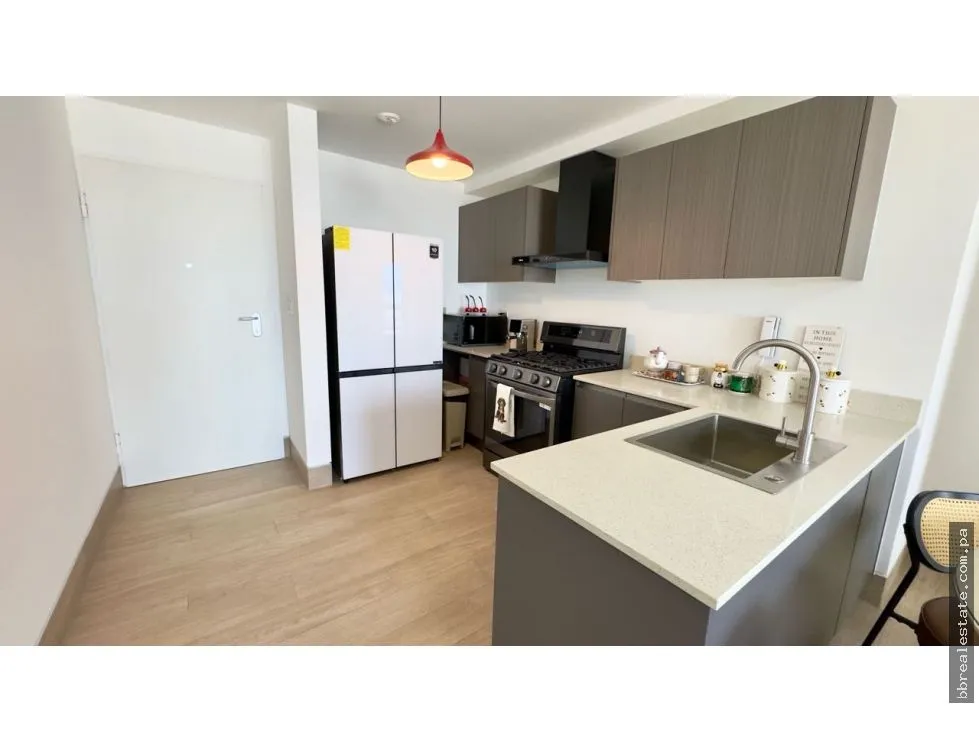 Alquiler de apartamento en Hato Pintado, PH Balcony
