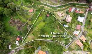 Terreno para Desarrollo en el Centro de Boquete
