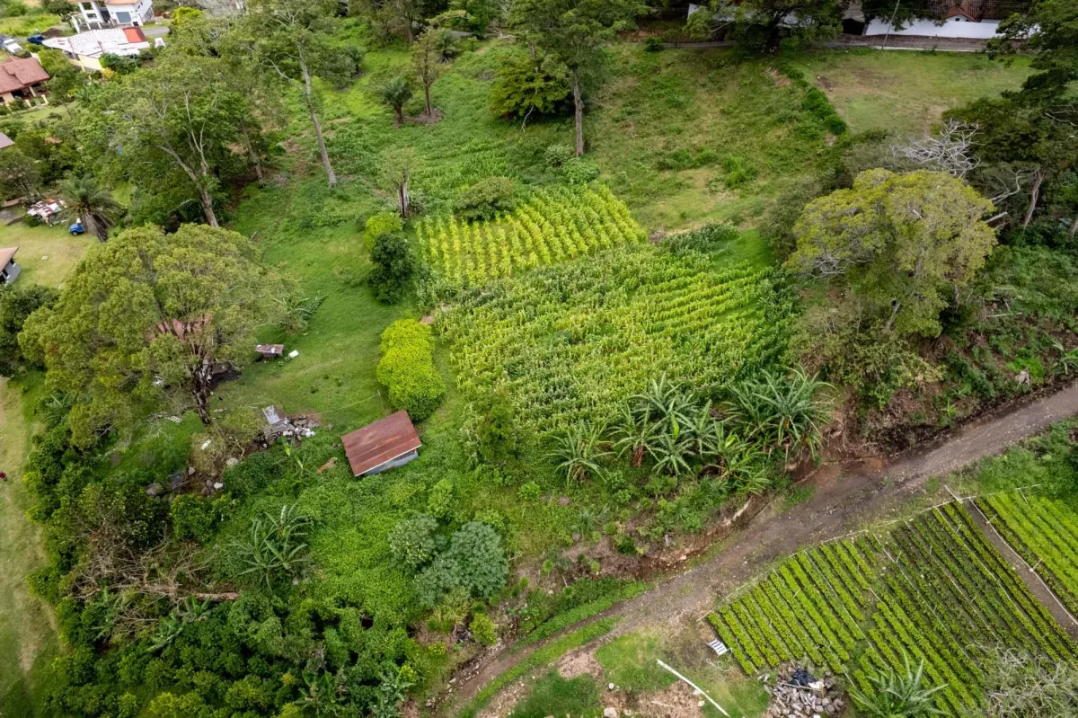 Terreno para Desarrollo en el Centro de Boquete