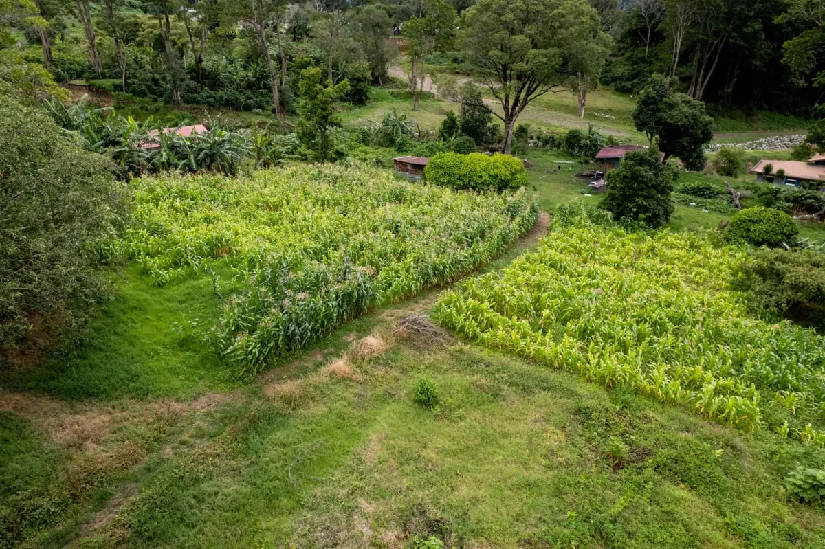 Terreno para Desarrollo en el Centro de Boquete