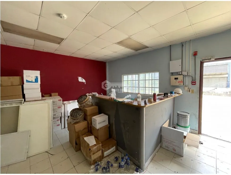 COLON / FREE ZONE / COMMERCIAL WAREHOUSE FRANCE FIELD / 1628M / 2 LEVELS