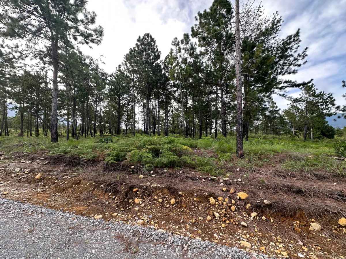 Terreno Arbolado de 2.154 m² en Venta en Alto Boquete