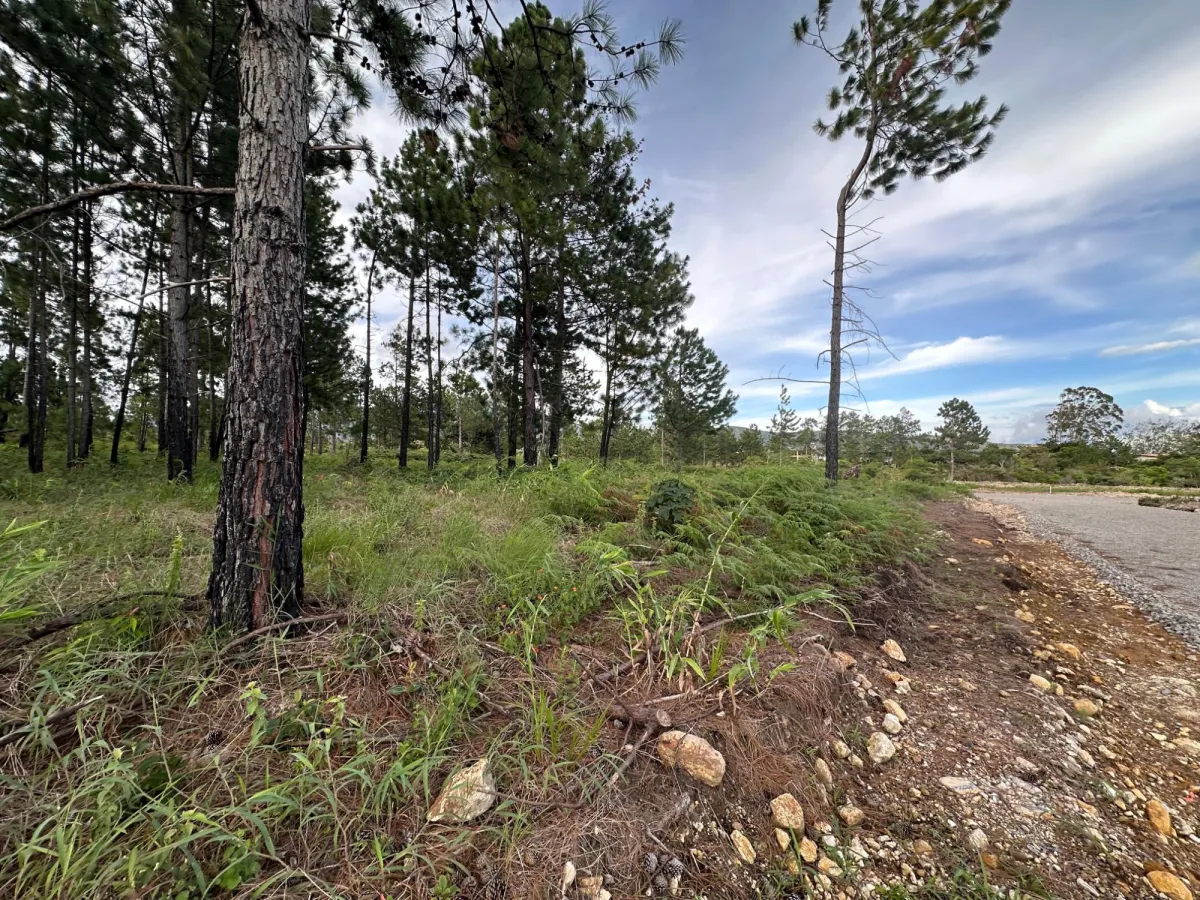 Terreno Arbolado de 2.154 m² en Venta en Alto Boquete