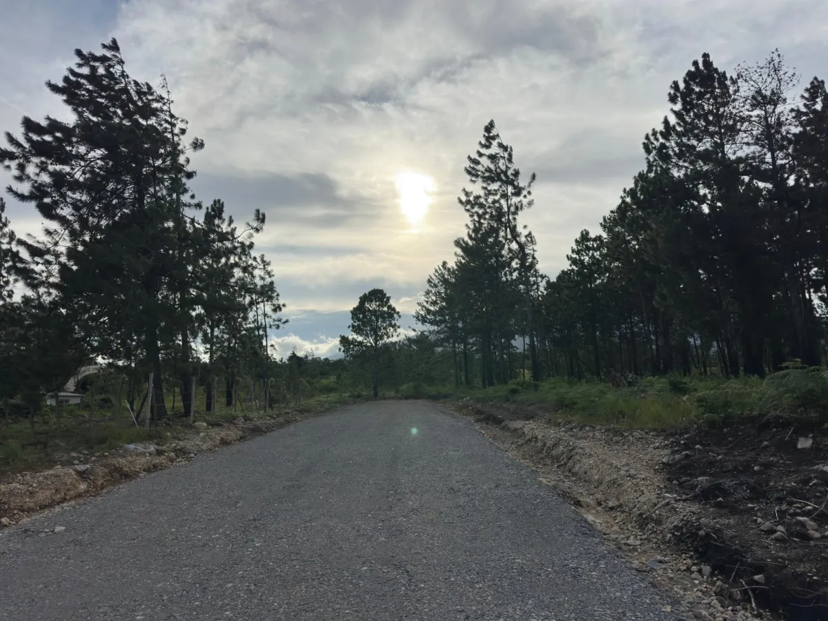 Terreno Arbolado de 2.154 m² en Venta en Alto Boquete