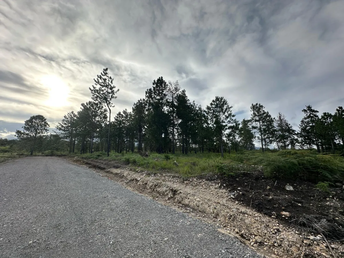 Terreno Arbolado de 2.154 m² en Venta en Alto Boquete
