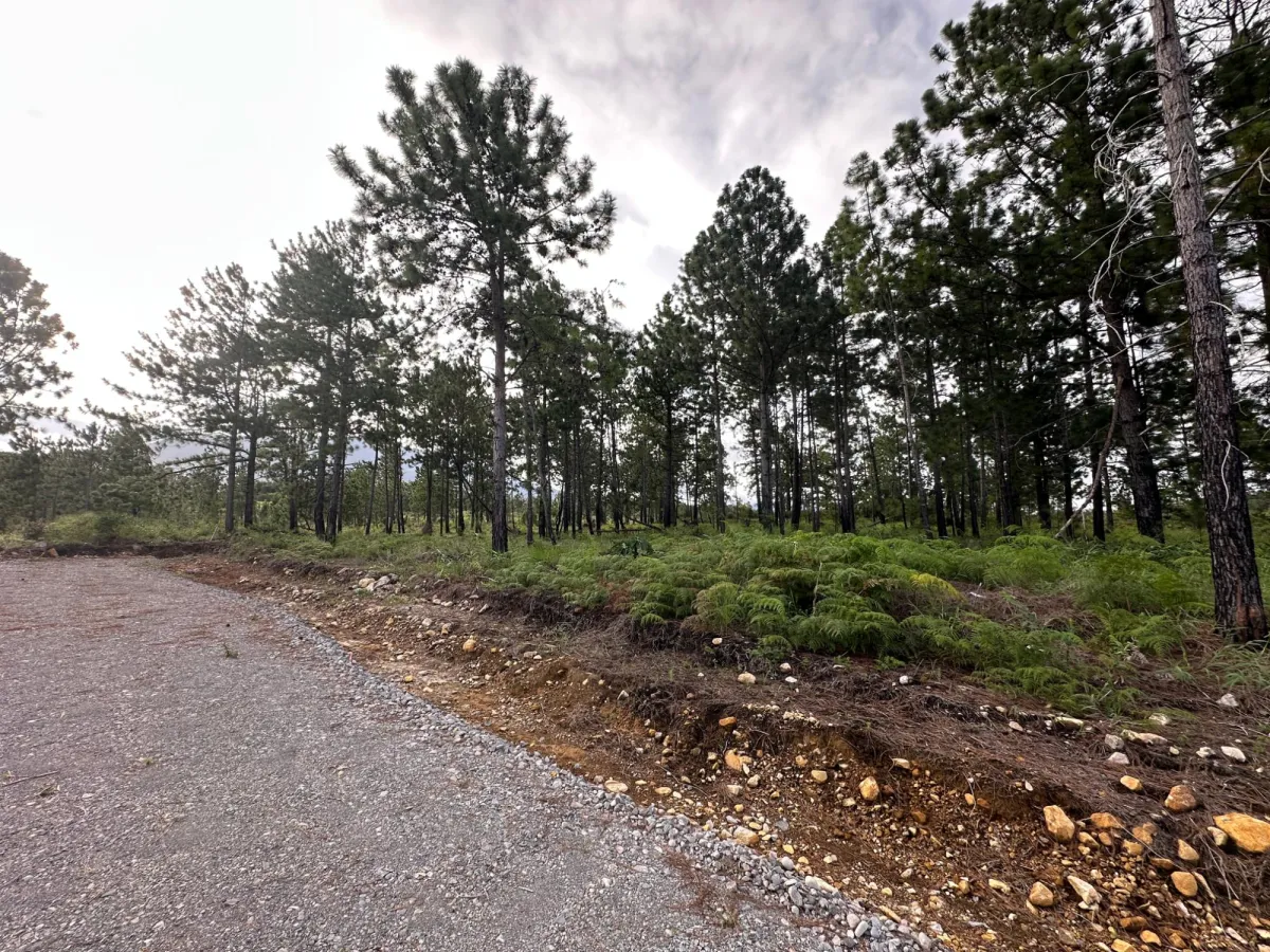 Terreno Arbolado de 2.154 m² en Venta en Alto Boquete