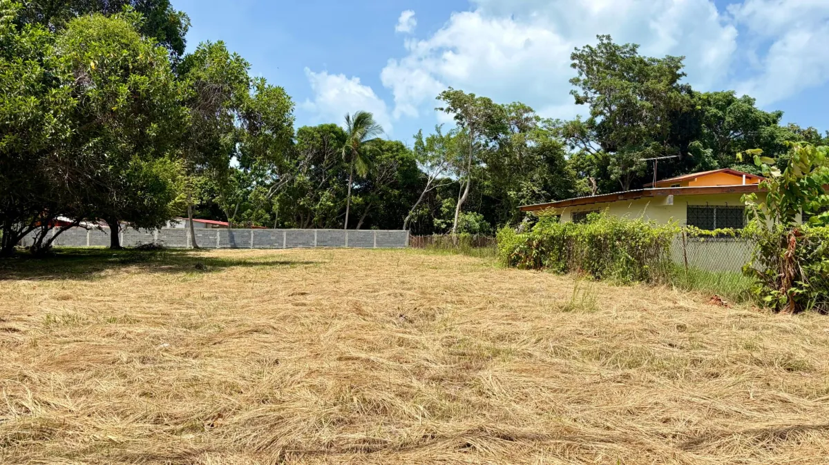 Terreno en Coronado, Vía Club Campestre