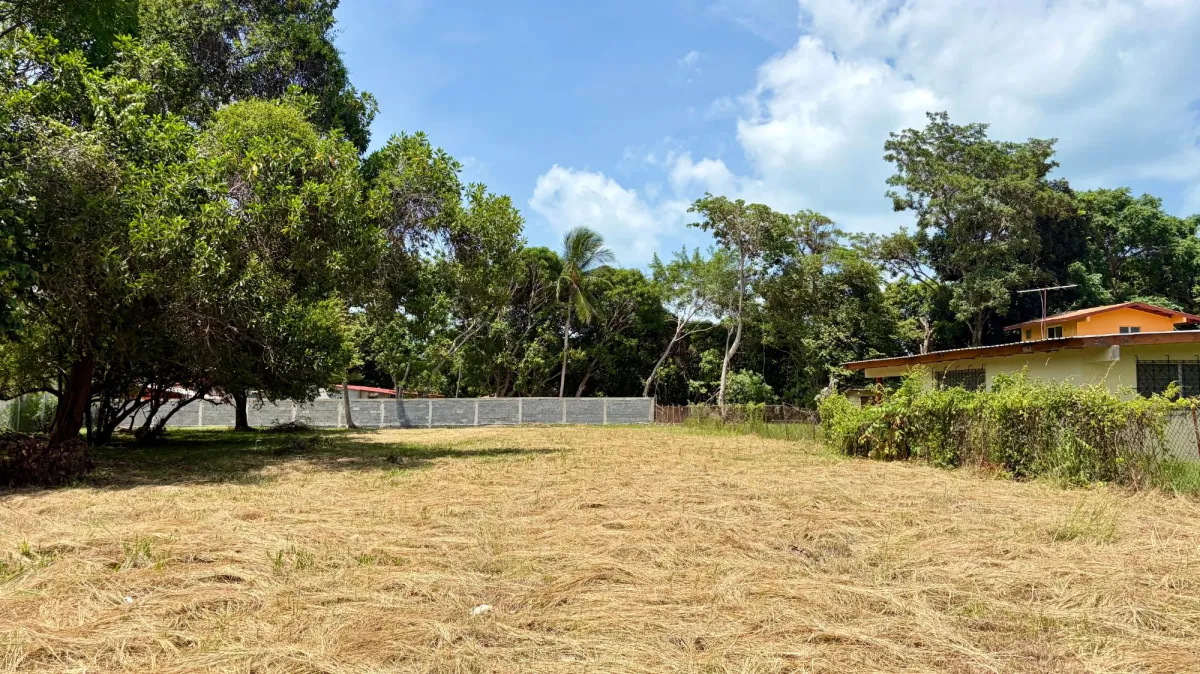 Terreno en Coronado, Vía Club Campestre