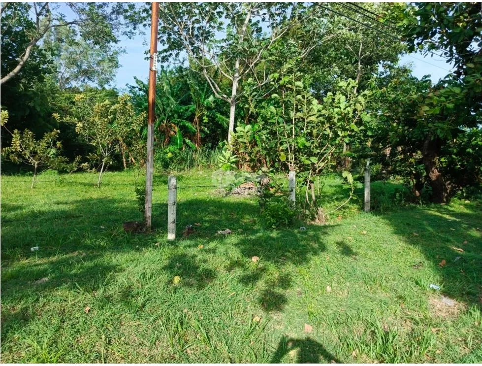 LAND FOR SALE IN CHAME LAS LAJAS 900 M2 ON PAVED ROAD