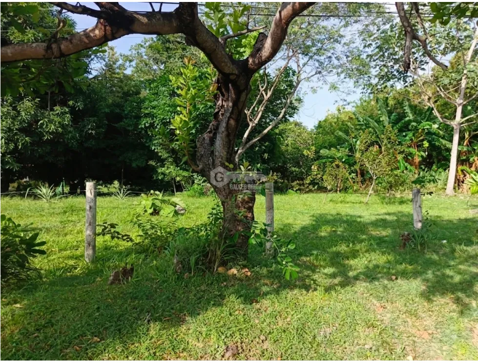 LAND FOR SALE IN CHAME LAS LAJAS 900 M2 ON PAVED ROAD