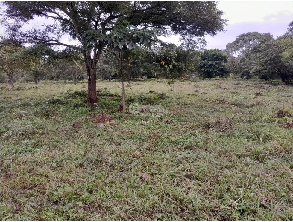 Terre / Ferme à Capira à vendre