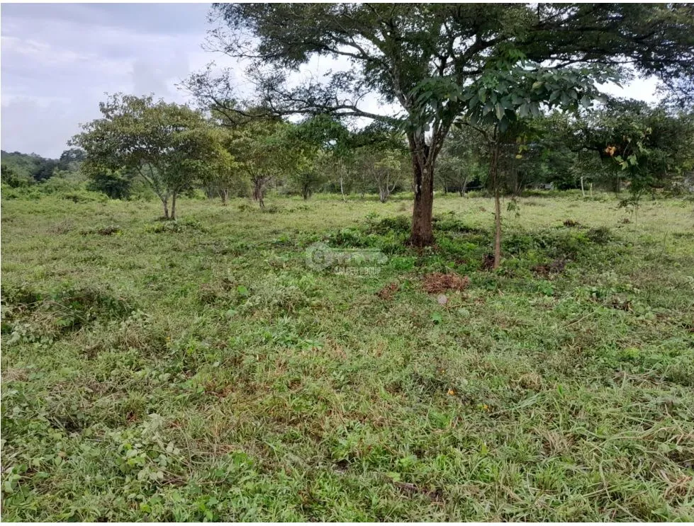 Terrain à bâtir à Capira à vendre