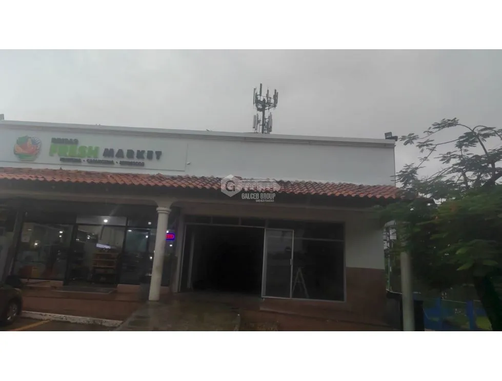 COMMERCIAL SPACE FOR RENT BRISAS DEL GOLF 175M 2 BATHROOMS GROUND FLOOR