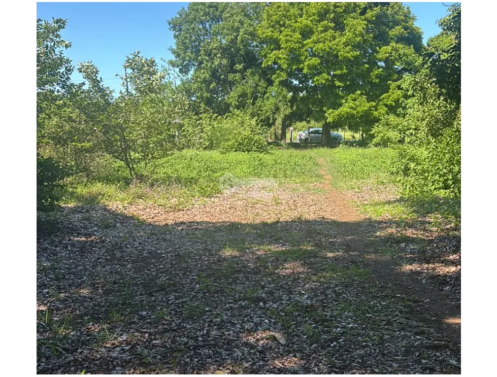 SE VENDE AMPLIO TERRENO EN COCLE NATA 1.54 HECTAREAS VIA ASFALTADA