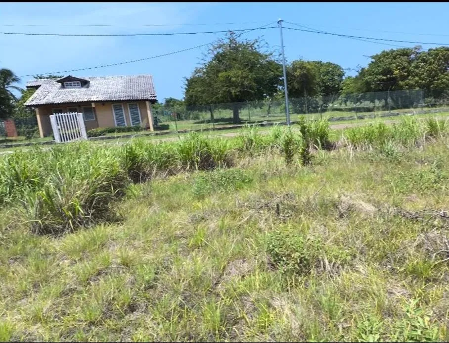 LOTE EN PUNTA CHAME A 250 M DE LA PLAYA, PANAMÁ OESTE | 1,359 M² |