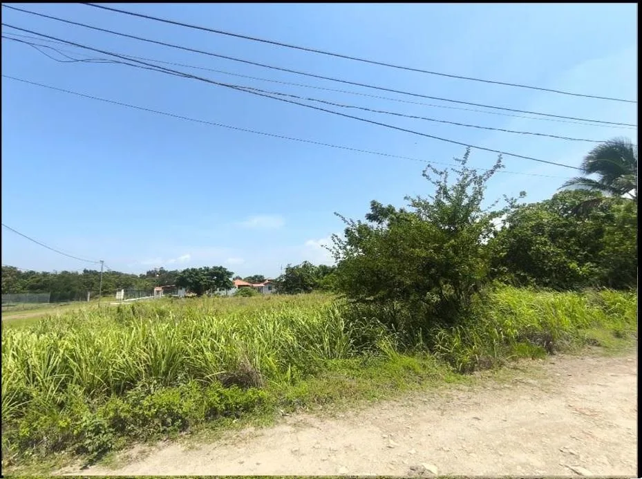 LOTE EN PUNTA CHAME A 250 M DE LA PLAYA, PANAMÁ OESTE | 1,359 M² |